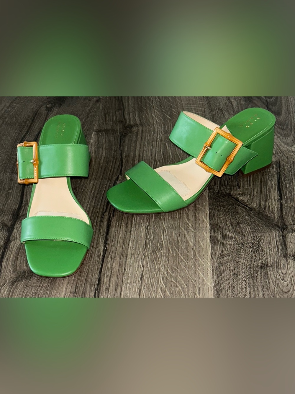 NEW!! Alex Marie Green Leather Slide Sandals with Buckle - Picture 2 of 7